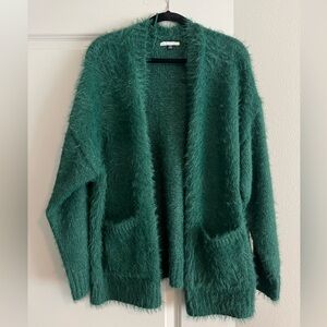 American Eagle Cardigan